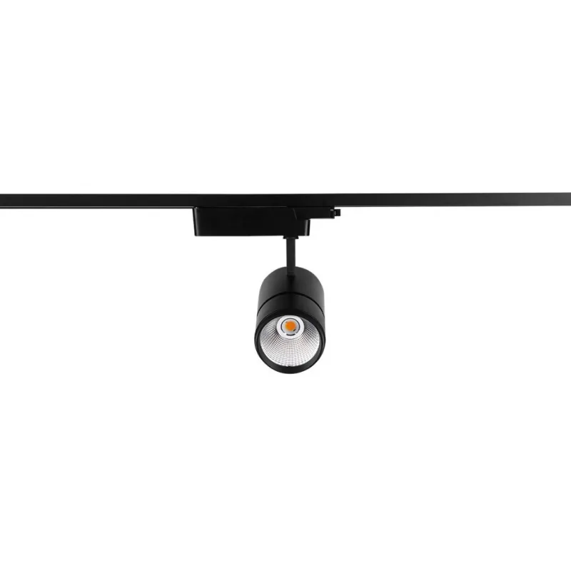 GY 3595